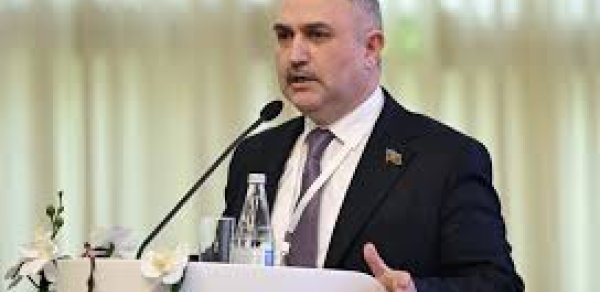 “Avropa Parlamenti Azərbaycana qarşı qərəzli münasibətdədir” - Deputat