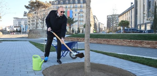 Prezident bu parkda ilk palıd ağacını əkdi - FOTOLAR