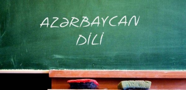 “Dilin qorunması təkcə dövlət işi deyil” - AÇIQLAMA