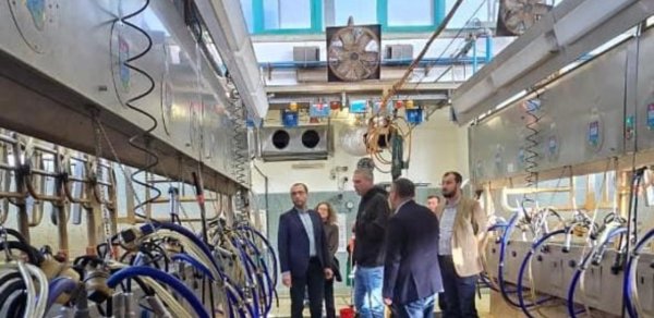 Azərbaycan və İsrail birgə süni mayalanma mərkəzi yarada bilər