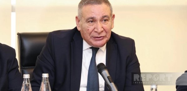 Rəşad Məcid: Mətbuat Şurasına bəzi yeni saytlar barədə şikayətlər daxil olur