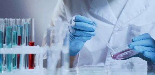 Dəm qazı və sirkə turşusu ilə zəhərlənmə: 81 nəfər xilas edildi