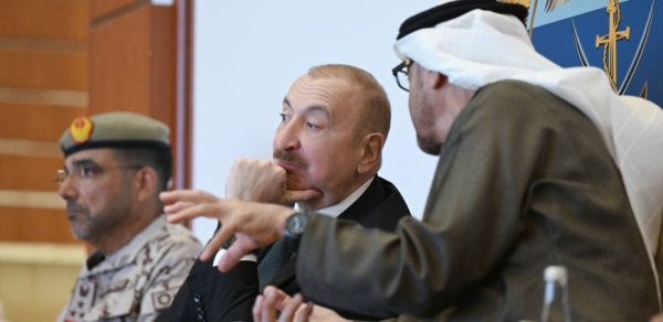 Azərbaycan və BƏƏ prezidentləri Əbu-Dabidə “Sülh Qalxanı – 2026” təlimini izlədi - FOTOLAR