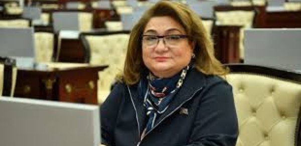 Azərbaycanda uşaqlar üçün sosial şəbəkələrə giriş qadağan edilir? - Hicran Hüseynova danışdı