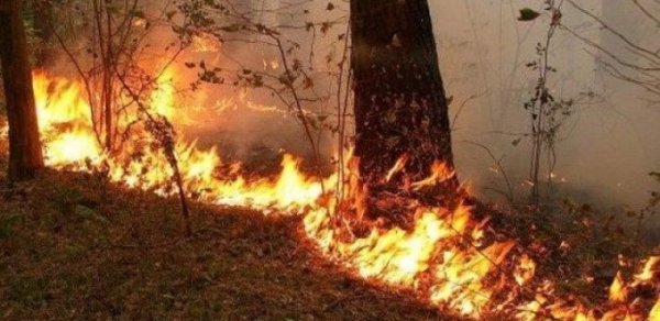 Cəbrayılda açıq ərazidə yanğın baş verib