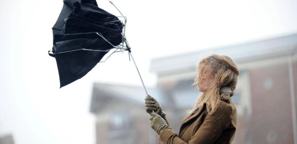 Bakıda və Abşeronda güclü külək əsir, regionlarda duman var - FAKTİKİ HAVA