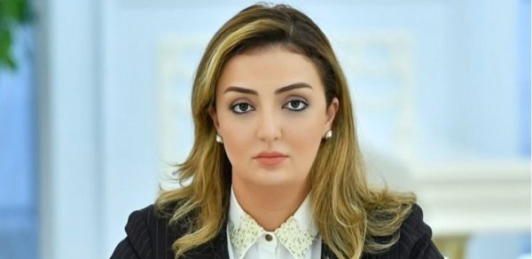 “Bu prosesdə üzdəniraq antimilli ünsürlərdən alət kimi istifadə olunur" - Deputat