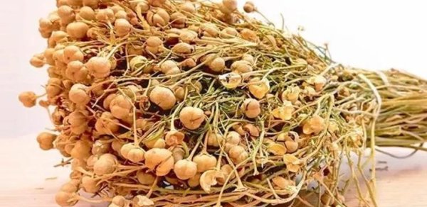 Üzərliklə bağlı daha bir qurumdan - Çağırış