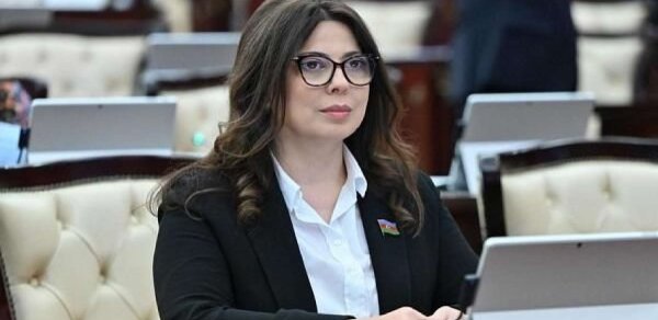 Azərbaycanlı deputata vəzifə verildi