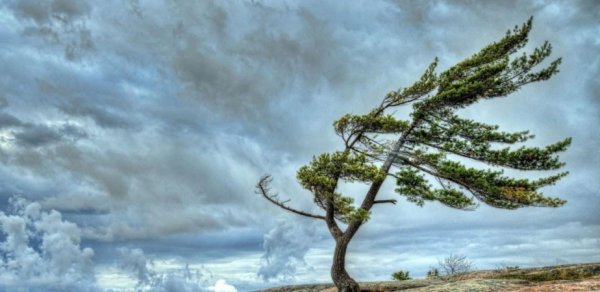 Küləkli hava şəraiti ilə bağlı sarı XƏBƏRDARLIQ