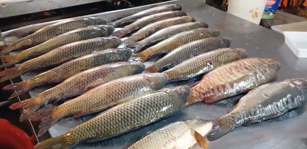 İranda müharibənin təsiri bazarda hiss olunmağa başlandı: Azərbaycanda balıq BAHALAŞDI