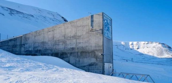 "Qiyamət anbarı"nda nə saxlanılır?