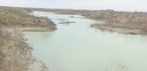 Araz çayında balıqlar kəskin azalıb - VİDEO