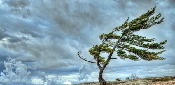 Bəzi yerlərdə külək güclənəcək - XƏBƏRDARLIQ