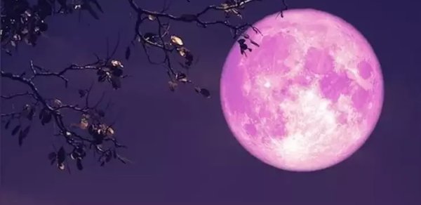 "Çəhrayı ay" 1 apreldə səmada görünəcək