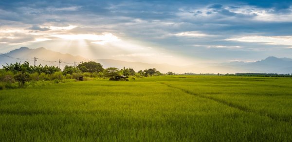 Torpaq zəbt edənlərə XƏBƏRDARLIQ