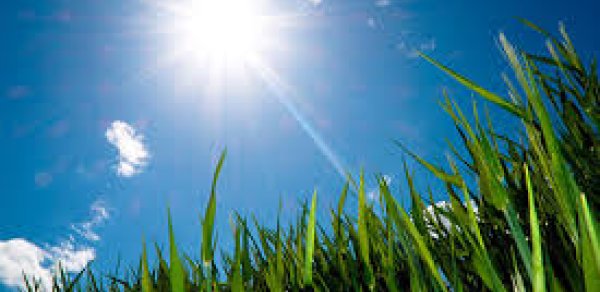 Sabah 20 dərəcə isti olacaq