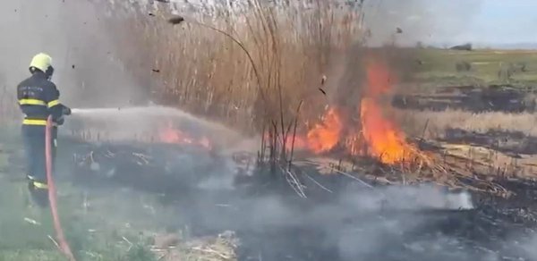 Qazaxın Daşsalahlı kəndində açıq ərazidə yanğın olub - VİDEO