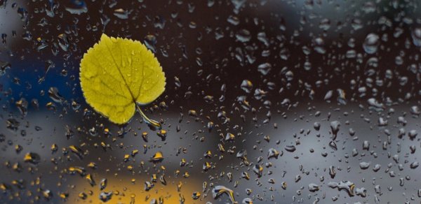 Azərbaycanda yağıntı intensivləşəcək - XƏBƏRDARLIQ