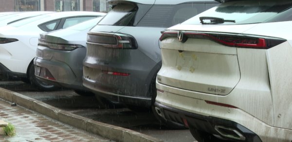 Küçəni zəbt edən nömrəsiz maşınların sahibləri cərimələndilər - VİDEO