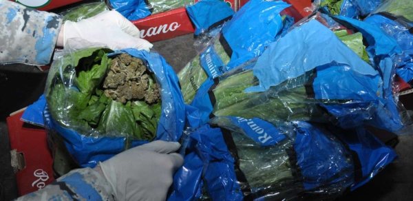 DGK: "Kahı" yükünün içərisində külli miqdarda marixuana aşkar edilib