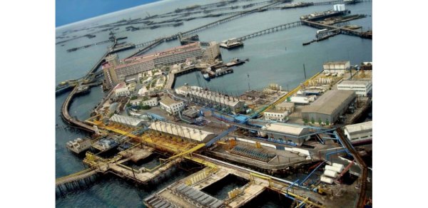 Neft Daşlarında meyit tapıldı