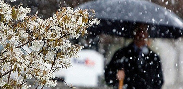 Ölkə ərazisində intensiv yağışlar davam edib, dağlıq ərazilərə qar yağıb