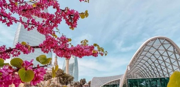 Sabahın havası açıqlandı - Temperatur 25 dərəcəyə yüksələcək