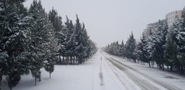 Azərbaycanın bəzi rayonlarına qar yağıb - FAKTİKİKİ HAVA