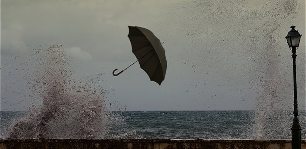 Küləkli hava şəraiti ilə bağlı sarı və narıncı xəbərdarlıq verilib