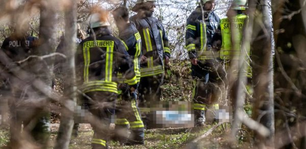 Almaniyada güclü külək ağacı aşırıb, üç nəfər ölüb