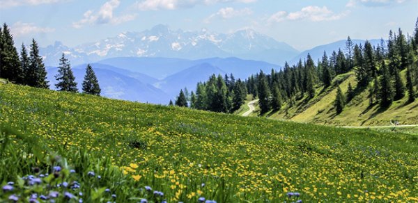 Sabah hava necə olacaq?