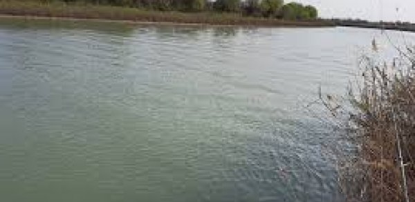 Kür çayında suyun səviyyəsi artıb