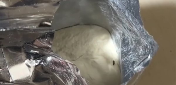 Uşaq qidasından həşərat çıxıb? - Nəzarətə götürüldü - VIDEO