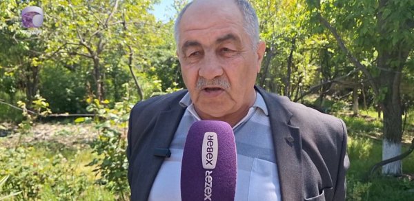 SOSİAL