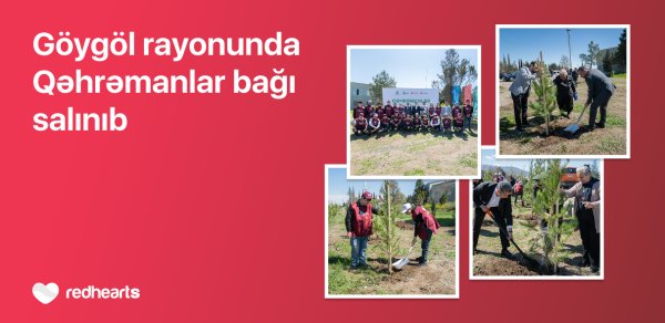 Göygöldə “Qəhrəmanlar bağı” aksiyası həyata keçirilib