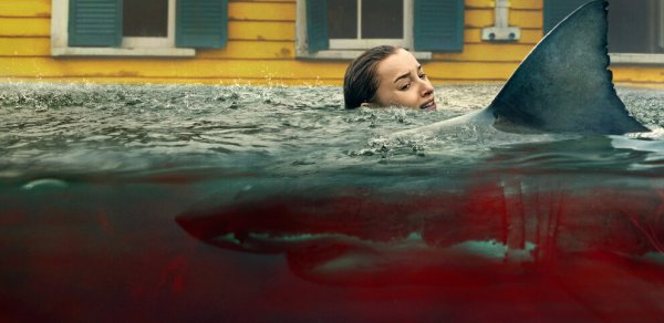 "Netflix"in yeni filmi 82 ölkədə zirvədə - VİDEO