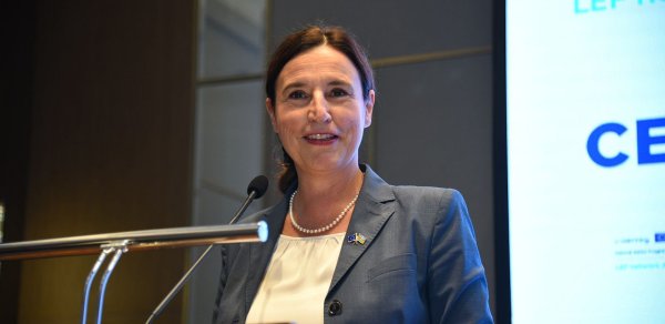 SİYASƏT