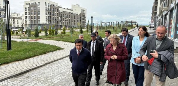 SİYASƏT