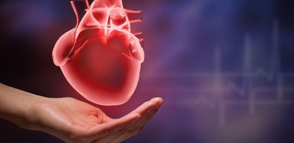 Sizdə bu əlamətlər varsa, hər an infarkt ola bilərsiniz - Həkim açıqladı