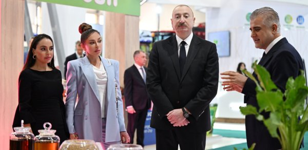 SİYASƏT