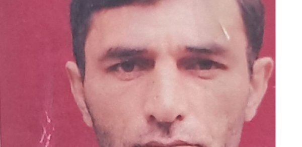 SOSİAL