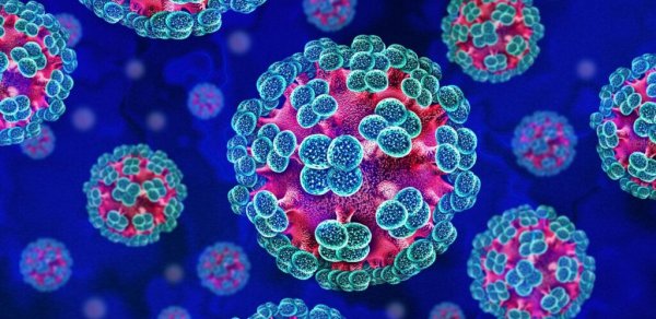 “Hantavirus”a yoluxanların sayı arta bilər?- ÜST-dən AÇIQLAMA