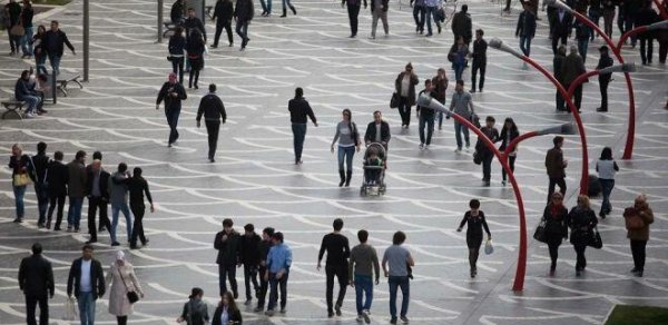 Hantavirusa ölkəmizdə yoluxma olub? - RƏSMİ