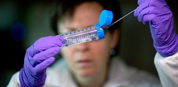 O ölkədə də ölümcül virus aşkarlandı