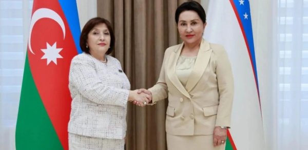 Milli Məclisin sədri Özbəkistan Ali Məclisi Senatının sədri ilə görüşdü