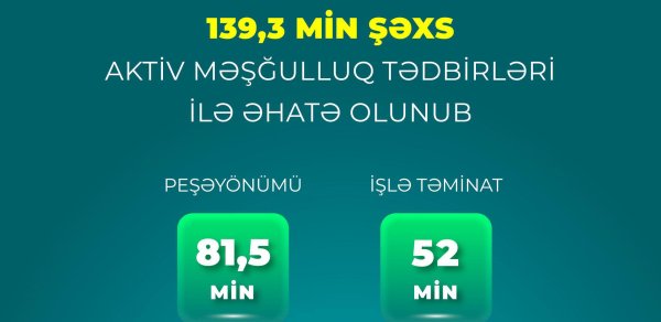 4 ayda 52 min şəxs işlə təmin olunub
