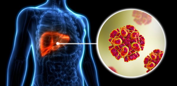 Bu ölkədə hepatit E virusuna yoluxma qeydə alındı