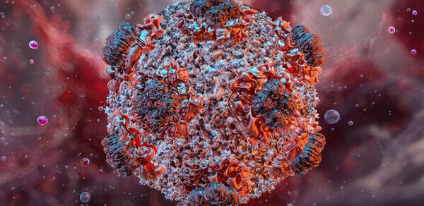 Daha bir ölkədə hantavirus aşkarlandı