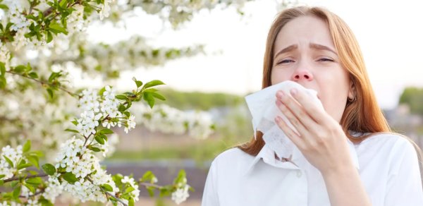 Yaz allergiyası niyə artır? – Həkimlərdən allergik şəxslərə vacib xəbərdarlıq